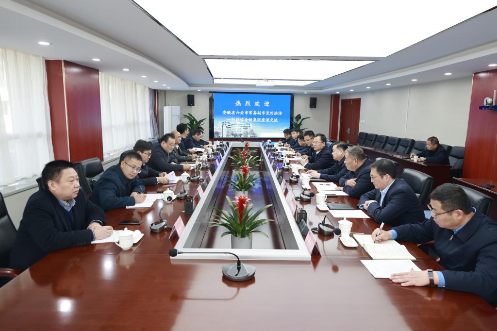 20240312-六安市常務(wù)副市長(zhǎng)劉洪潔到公司考察交流 (1).JPG