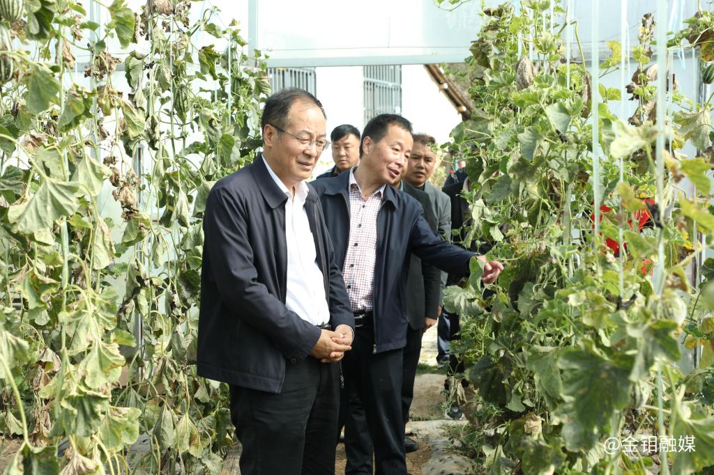 20241010-朱凌云深入東西坪村調(diào)研駐村幫扶工作并慰問(wèn)困難群眾 (1).JPG